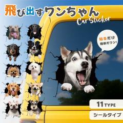 �X�e�b�J�[ ��яo����񂿂�� �J�[�p�i �ԗp 3D ���񂽂� 11��� �\��t�� �f�R���[�V���� �� �K���X �т����� �ǂ����� �W���[�N �O�b