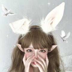 �y�݌Ɍ���z �R�X�v�� �J�`���[�V�� ������ �w�A�A�N�Z�T���[ �s���N �E�T�M �e �\ �n���E�B�� �o�j�[ �o�j�[�K�[�� �ߑ� ���� ������ 