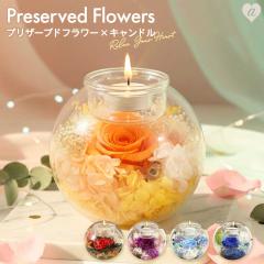 �v���U�[�u�h�t�����[ �K���X�L�����h���z���_�[ �M�t�g �A���}�L�����h�� �� �v���[���g ���� �C���e���A �G�� ������� �ԓ��� �K���X