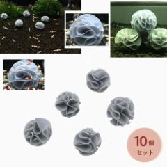 �G�r �Y���p �ɐB�{�[�� �� �C�V 10�Z�b�g �~�i�~�k�}�G�r �Y���� �B��� ���̊ώ@ ���� �A�N�A���E�� �u�� ���S ���S ���� ���R���� 