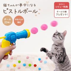 �y�u���z�z���z �y���r���[�Ń{�[���̗\��10�v���[���g�I�z �L �������� �s�X�g���{�[�� �{�[��20���� �e �L�s�X�g�� �_�炩�� �J��