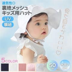 �y���ʗX�֔����z �X�q ����l�n�b�g ���̎q ���Ă��h�~ �S5�F�J���[ �c�o�L�X�q �q���p �L�b�Y �����R���� �R�t�� ���� �X ���킢�� ��