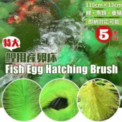 �� �{�B �Y���� �Y���p �� �ɐB�u���V 5�Z�b�g �ь� �B��� ���̊ώ@ ���� �A�N�A���E�� �R�C �u�� ���S ���S ���� ���R���� ���킢�� 