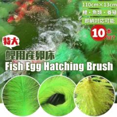 �� �{�B �Y���� �Y���p �� �ɐB�u���V 10�Z�b�g �ь� �B��� ���̊ώ@ ���� �A�N�A���E�� �R�C �u�� ���S ���S ���� ���R���� ���킢��