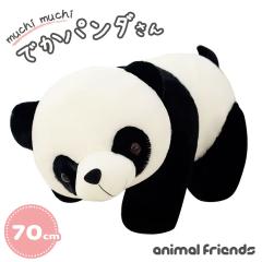 �y�݌Ɍ���z�ʂ������ �p���_ �p���p���_ 70cm �� ������ �N�b�V���� ���� ���� �A�j�}�� ���킢�� �`���[�~���O �������� �R�~�J��  