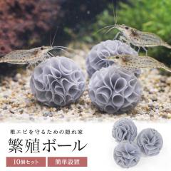 �G�r �Y���p �ɐB�{�[�� �� �C�V 10�Z�b�g �~�i�~�k�}�G�r �Y���� �B��� ���̊ώ@ ���� �A�N�A���E�� �u�� ���S ���S ���� ���R���� 