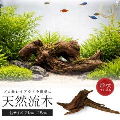 �A�N�A���E�� ���� �[Ver2�[ �`�󂨔C���^�C�v 21�`25cm �����B�e �e�����E�� ���C�A�E�g�p�i ���ꂽ�� ���� �B��� �����x�[�X ���� �W