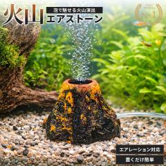 �y�u���z�z���z �A�N�A���E�� �ΎR �I�u�W�F �G�A���[�V�����p ���� �y�b�g�p�i �����p�i �I�[�i�����g �������� �ΎR�^ �o�u�� ���� ��