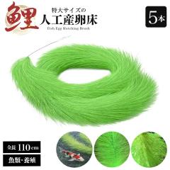 �y�\�񏤕i�[����1�����z�� �{�B �Y���� �Y���p �� �ɐB�u���V 5�Z�b�g �ь� �B��� ���̊ώ@ ���� �A�N�A���E�� �R�C �u�� ���S ���S 