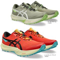 AVbNX gCjOV[Y Y tWCg6  1011C086