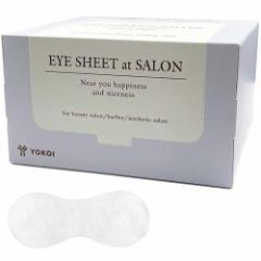 RC EYE SHEET at SALON ACV[g Abg T 100 { Vv[ }bT[W ڌB ڌJo[ ĝ AC}XN 