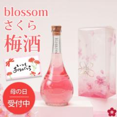 ̓ ~ v[g    j  blossom ~ r  l lC ̓_dg