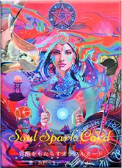 �\�E���X�p�[�N�J�[�h New Edition