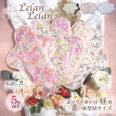 �z�i�v�L�� �Z�b�g �h�� �����p�i�v�L�� ��̌^ M�T�C�Y ���p ���ʂ̓� �������p 5���Z�b�g �������� ���{�� �� ���� �R�b�g�� �l�����n 