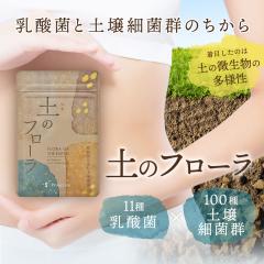 �������� �y�̃t���[�� �哤 ���_�� �y��� �T�v�������g 11��̓��_�ہ~100��̓y��׋ۂ�哤�ƍf�Ŕ��y���� �T�v�� �t���[�� �����s�g