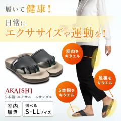 5�{�w�G�N�T ���[���T���_��