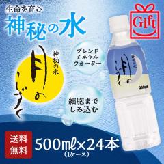 �M�t�g�p ���̂����� �� 500ml�~24�{ �y���������z��̗� ���� �~�l�����E�H�[�^�[