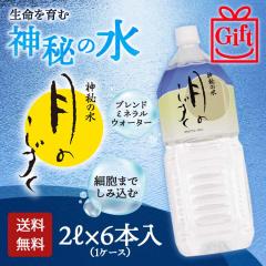 �M�t�g�p ���̂����� 2L�~6�{�@�y���������z��̗� ���� �~�l�����E�H�[�^�[