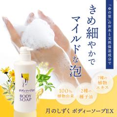 ���̂������{�f�B�\�[�vEX 500ml