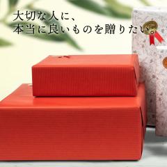 �M�t�g���ɓ���ĕ�����b�s���O