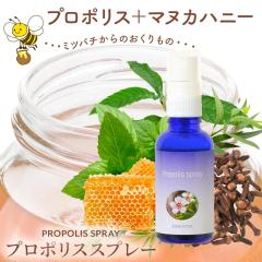 �̂ǂɏ����Ɖh�{��^�����N�ێ��̃T�|�[�g �v���|���X�X�v���[