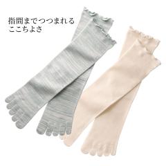 TAKEFU �|�z ���C�g�G�A�[ 5�{�w�\�b�N�X ������ ���� �d�˗��� �ʋC�� �V�R�̍R�� ���L ���d�� �z�� ������ �S�n�悢