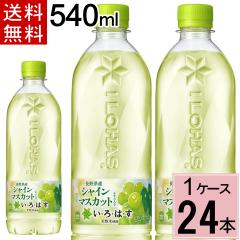 y200~offN[|zEÉE VC}XJbg PET 540ml  v 24 { i24{~1P[Xj}XJbg ͂ 24 
