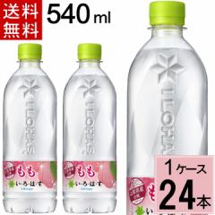 EÉE  VR PET 540ml  v 24 { i24{~1P[Xj~lEH[^[ ͂ 24 ͂ 24{ 555 {