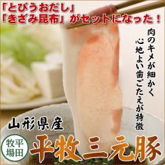 Ε  cq O؃[XEoԂԃMtgy3`4lOzyⓀz Ε ~Mtg A  Mtg񂹃O  