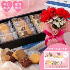 ��̓� ���� ���َq �J�[�l�[�V���� �M�t�g � �N�b�L�[ �Ă��َq �_�˘Q�� �_�˃g���b�h�N�b�L�[�y12���z �����o�� �����z�� �m�َq