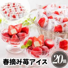 ���Ε�M�t�g �t�E��䕃A�C�X 20�� 䕃A�C�X��20g�~20�� �Î_���ς�� ��������A�C�X 䕃f�U�[�g �Ⓚ�yO�z ���Ε� �M�t�g ��Ε� �~�M