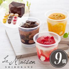 ���Ε�M�t�g �� ���]������ �t���[�c �V���R���A�C�X �x���[ �}���S�[ �V���R���e3�� �v9�� �t���[�c���V���R���yO�z ���Ε� �M�t�g ��