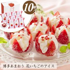 ���Ε� �A�C�X �A�C�X�N���[�� �M�t�g �������܂��� �Ԃ������̃A�C�X�y10�z�yT�z��Ε� �~�M�t�g �A�� �������� ���܂��� ������ �t��