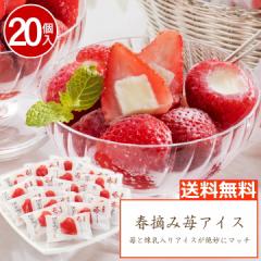 アイス ギフト スイーツ お菓子 春摘み 苺アイス【20個】引越し 転勤 職場 異動【T】 アイスクリーム ギフト フルーツ 送料無料 いちご