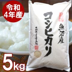 魚沼産 コシヒカリ 5kg 送料無料 新潟県産 5キロ お米 令和4年 新米 精米 白米 米 こしひかり