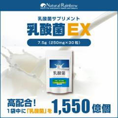 『乳酸菌EX 30粒』