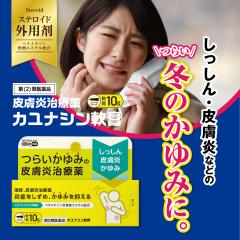 �y�X�e���C�h��p�z�w�J���i�V����p 10g�x �炢����� ���]�� �G�߂̔��g���u�����P ���畆�� ������ ���Ԃ� ���h���� ����܂���y��