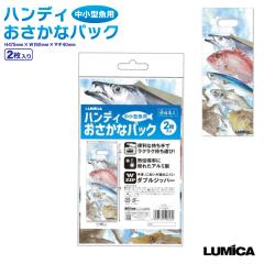 �n���f�B�������ȃp�b�N �����^���p �������^�� �ނ� 2���� ������t H475mm�~W190mm�~�}�`40mm �A���~�� �_�u���W�b�p�[ LUMICA ���~�J