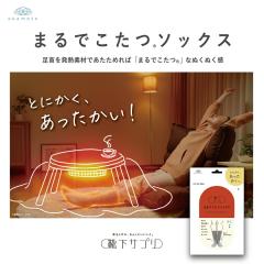 �C���T�v�� �܂�ł����� �\�b�N�X 23-25cm ���{ ���[���\�b�N�X ���������O�b�Y �₦���΍� ���������\�b�N�X �~ ��[�΍� �C�� �h�� ��