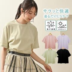 z tVc gbvX fB[X  tVc hCtVc ntVc ztVc Jbg\[  UVJbg XEFb