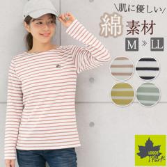 SX p[N 100% {[_[tVc tVc fB[X {[_[gbvX t  H 100 ȍ {[_[  tVc gbvX 