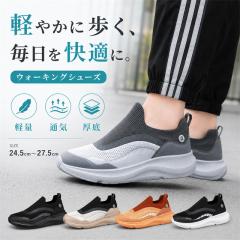�ň����� �t�V�� �������� �V�� �����Y �X�j�[�J�[ �X���b�|�� �E�H�[�L���O�V���[�Y �y�� �ʋC�� ���b�V���V���[�Y ���� �N�b�V������ 