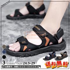 �ň����� �t�V�� �������� �V�� �����Y �T���_�� �����Y�V���[�Y �傫���T�C�Y �r�[�`�T���_�� �ʋ� �ʊw �����₷�� ���Ȃ� �J�W���A