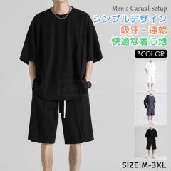 �ň����� �t�V�� �������� �V�� �W���[�W �㉺�Z�b�g �����Y �Z�b�g�A�b�v �ėp ���n �V���v�� �z�� ���� ���� T�V���c �n�[�t�p���c 2�_