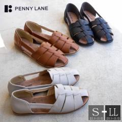 PennyLane yj[C T_ OJT_ fB[X C tbg ƕt I[vgD tbgxbg  L CgO