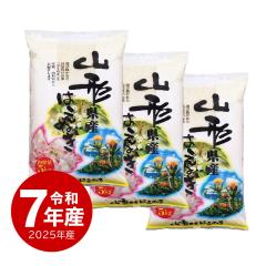 �z��̈�䉮 �� 15kg �R�`���Y �͂��ʂ� ���� 15�L�� �ߘa7�N�Y ����ʓr����