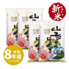�y�V�ē��ׁz �R�`�Y �͂��ʂ� 20kg ���� 20�L�� �ߘa8�N�Y ����ʓr����
