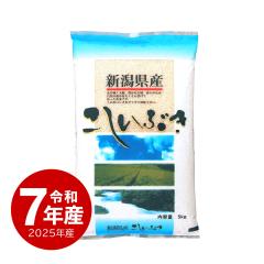 �� 5kg �������Ԃ� �ߘa7�N�Y ���� �V�����Y �Y�� ���� ���� ������ւ̔z���͕ʓr����