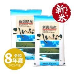 �z��̈�䉮 �V�� 10kg �V���Y �������Ԃ� �ߘa8�N�Y ���� 10�L�� ����ʓr����