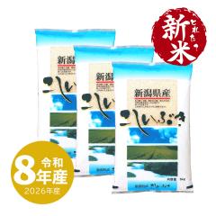 �z��̈�䉮 �V�� 15kg �V���Y �������Ԃ� �ߘa8�N�Y ���� 15�L�� ����ʓr����